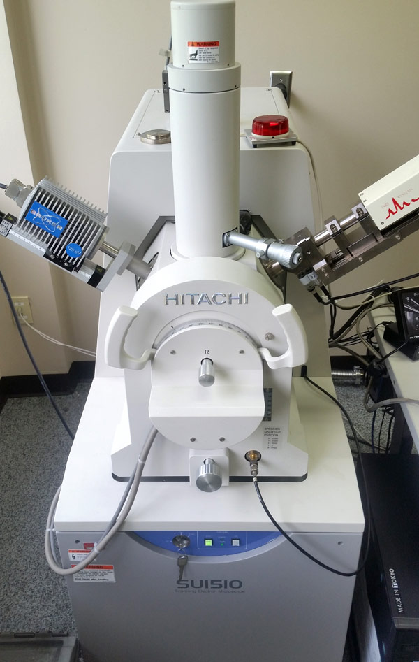 SEM (Scanning Electron Microscope)