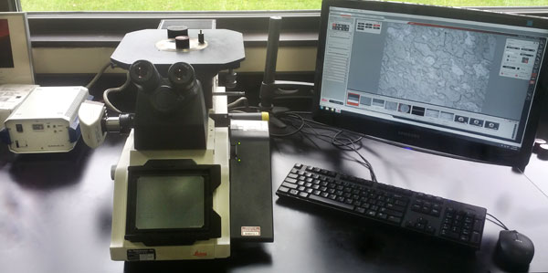 inverted microscope